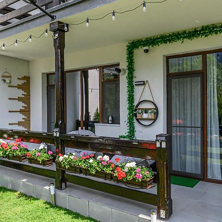Ama Garden Apartment Busteni Ngoại thất bức ảnh